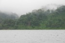 Forest On Side Of Lake Arenal